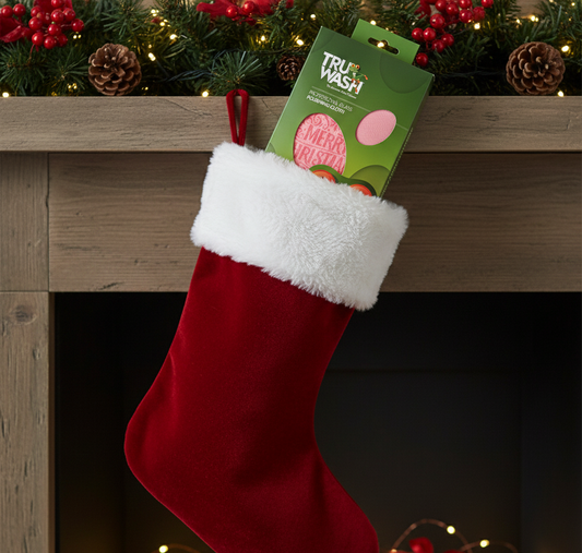 Christmas Gift Ideas