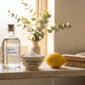 How to Clean Limescale from Your Toilet Naturally: UK Guide